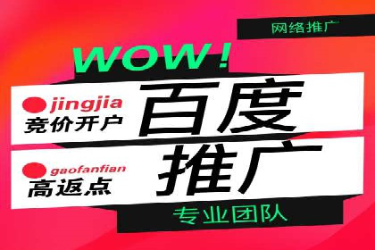 案例分析：竞价代运营如何实现精准用户定位